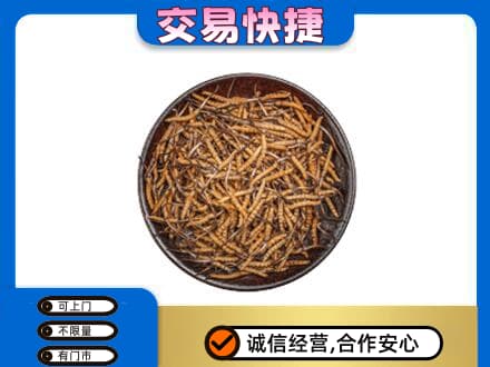 厦门市湖里高价回收散虫草